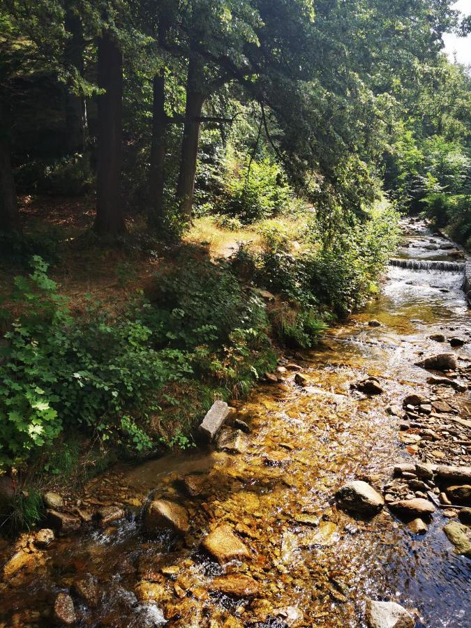 Chillout-Aparts Świeradów-Zdrój エクステリア 写真