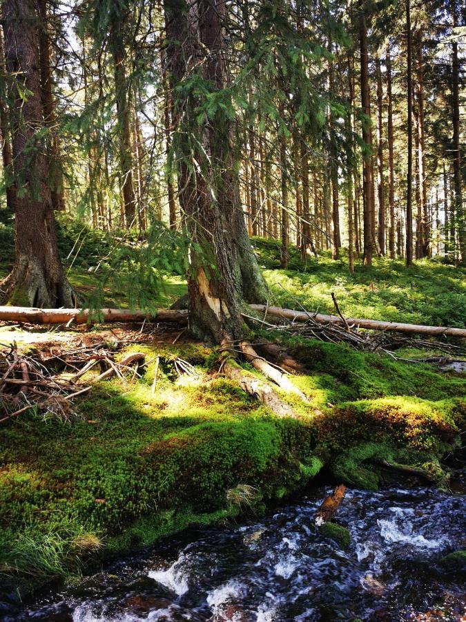 Chillout-Aparts Świeradów-Zdrój エクステリア 写真